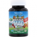 네이처스 플러스 애니멀 퍼레이드 MAG Kidz (90츄), Natures Plus Animal Parade MAG Kidz 90chews