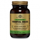 솔가 풀 포텐시 허브 베지털 실리카 100 베지캡슐 Solgar Vegetal Silica 100 Vegecaps