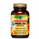  솔가 스탠다드 풀 포텐시 녹차 잎 추출물 식물성캡슐 60정 Solgar Full Potency Green Tea Leaf Extract 60 Vegecaps