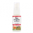 네츄럴 팩터스 비 프로폴리스 액상 스프레이 30 ml Natural Factors Bee Propolis Throat Spray 1 fl oz 30 ml